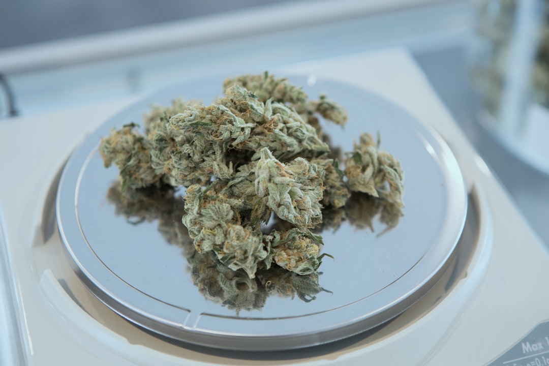 Debbie’s Dispensary: A Guide to Quality Cannabis Products