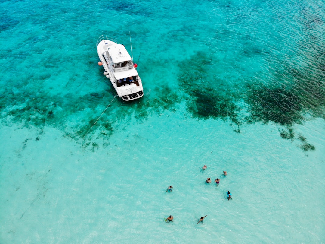 Exploring La Barca: A Journey on the Water
