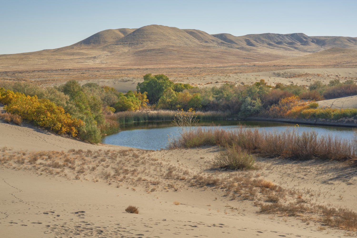 Exploring the Serene Desert Oasis of the Gobi Gurvan Saikhan National Park