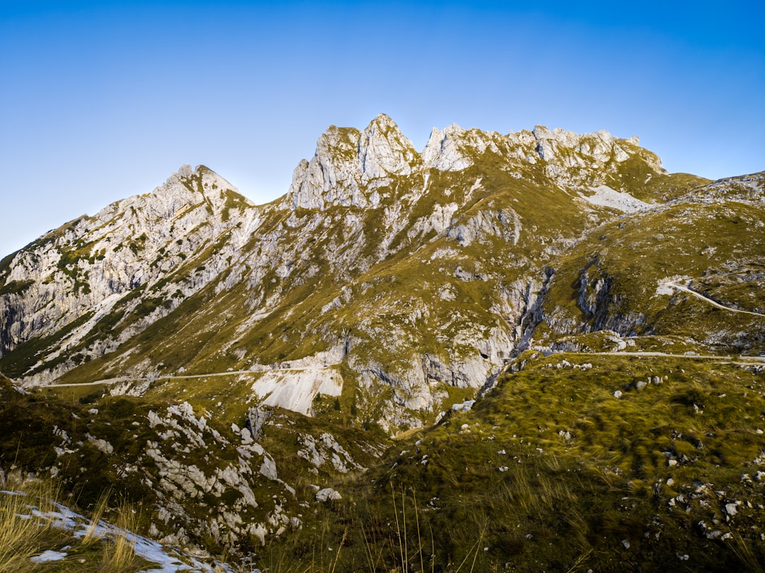 Navigating the Treacherous Terrain: A Guide to Survival
