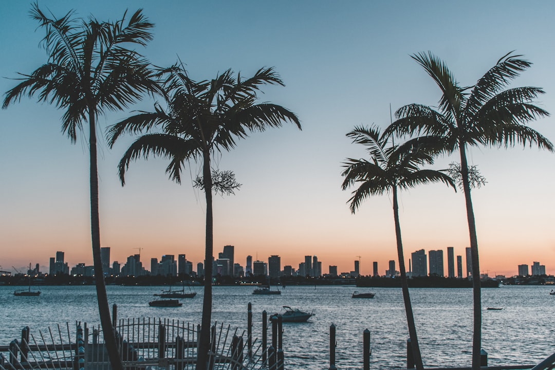 The King of Diamonds: Miami’s Hottest Nightlife Spot
